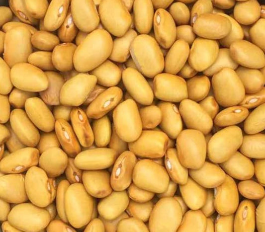 Amarillo