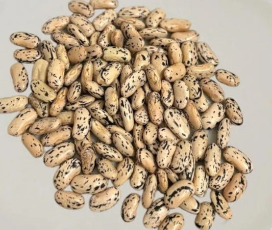 Capuchino