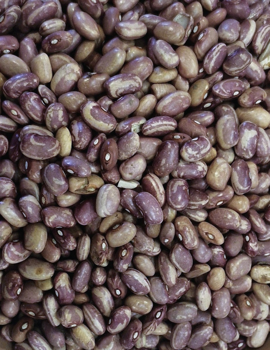 Flor de Mayo Bola