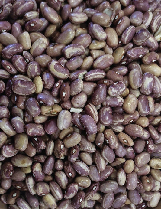 Flor de Mayo Bola