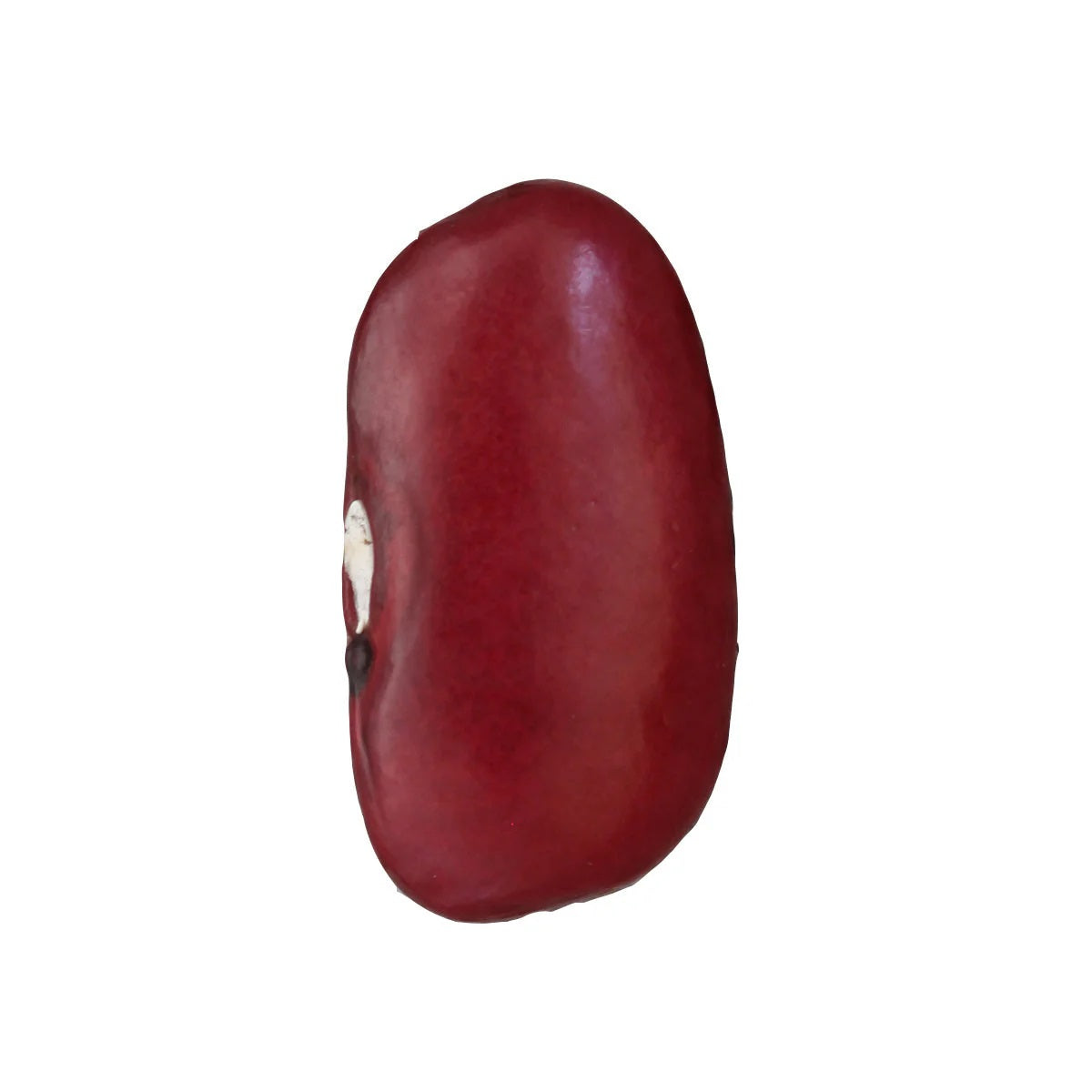 Sangre de Toro