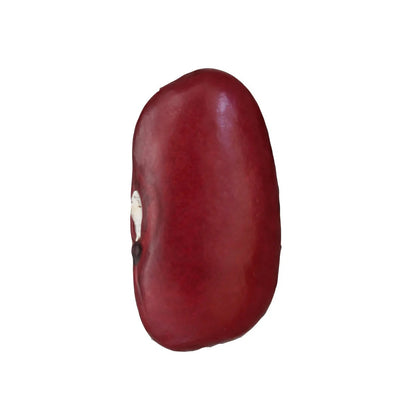 Sangre de Toro