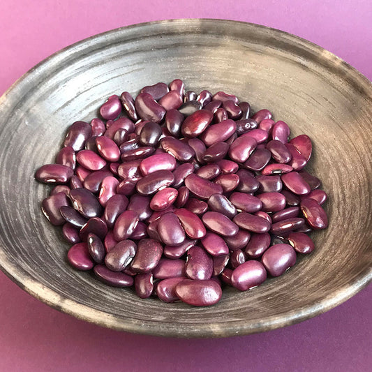 Ayocote Morado