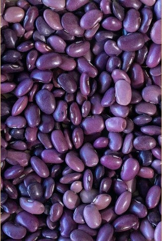 Ayocote Morado