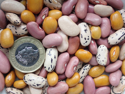 Ensaladilla Amarilla