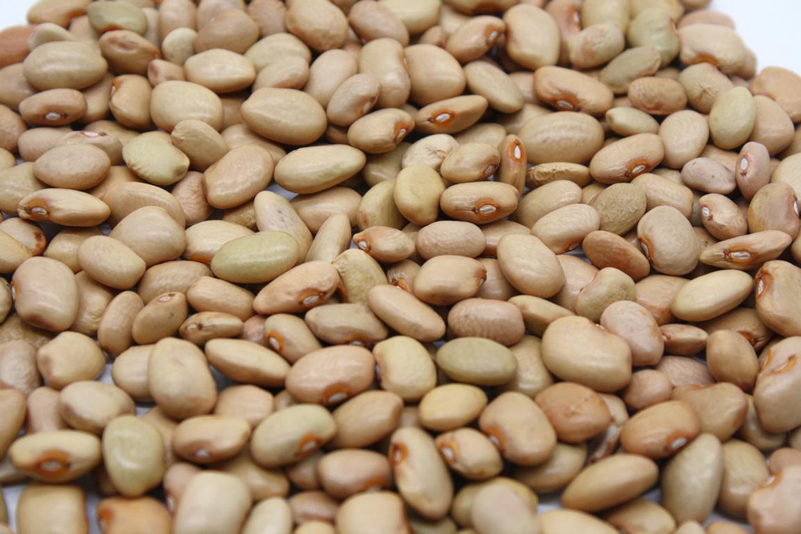Mantequilla