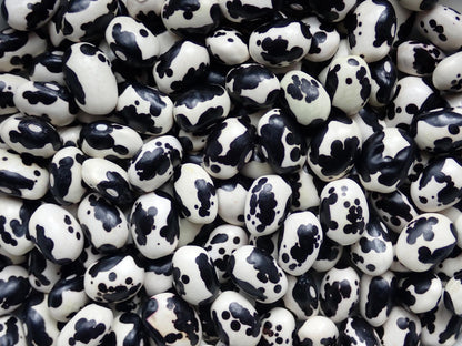 Vaquita Negro Bola