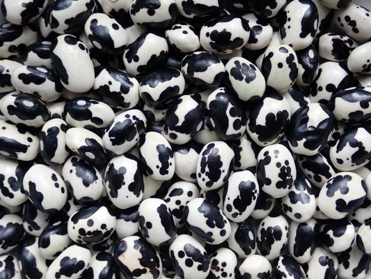 Vaquita Negro Bola